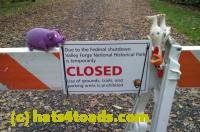 /home//u458753944/public_html/sourcegallery/////////////////Chickens/Valley Forge/IMAG0086.jpg